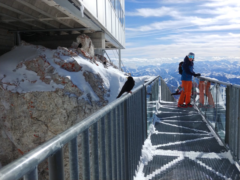 Sviluppo-sistema-sicurezza-cableway6-EGG-Solutions